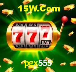 Casino VIP pgx555